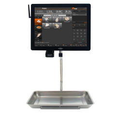 Báscula colgante BM5 ARM 15 kg | Pesaje profesional para comercios